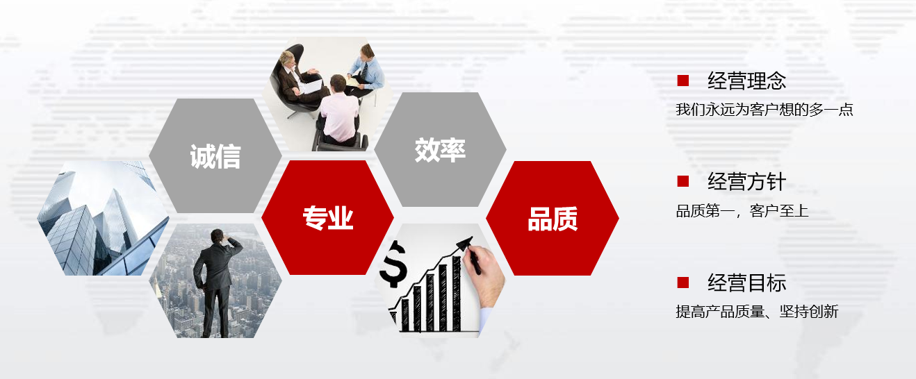企業愿景(圖1)